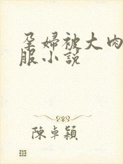 孕妇被大肉楱征服小说封面