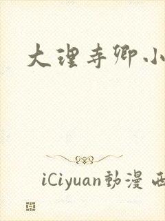 大理寺卿小说封面