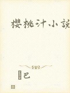 樱桃汁小说封面