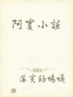 阿宾小说