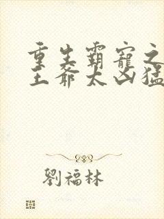 重生霸宠之摄政王爷太凶猛