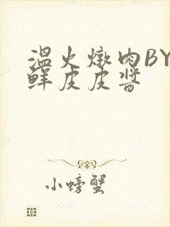 温火炖肉BY海鲜皮皮酱