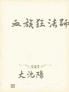 血族狂法师封面