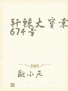 轩辕大宝袁雪妃674章封面