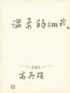 温柔的sm我