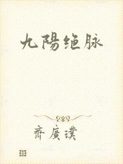 九阳绝脉封面