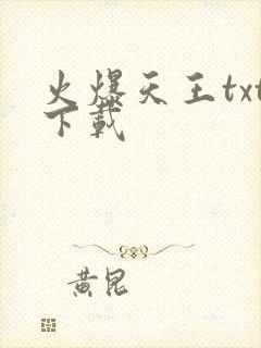 火爆天王txt下载