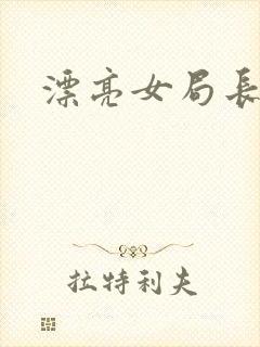 漂亮女局长封面