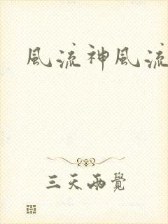 风流神风流记封面