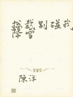 总裁别碰我 韩降雪