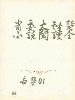 省委大秘楚东恒小说阅读全文封面