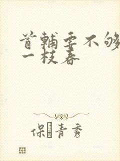 首辅要不够po一枝春封面