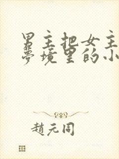 男主把女主拖进梦境里的小说