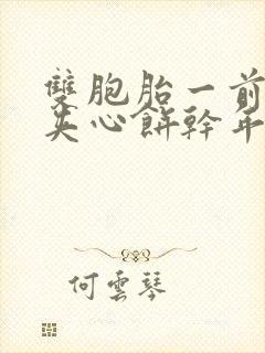 双胞胎一前一后夹心饼干年下