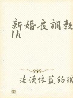 新婚夜调教1v1h
