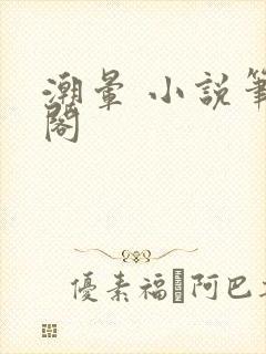 潮晕 小说笔趣阁