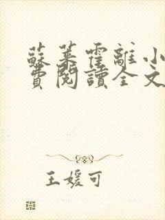 苏莱霍离小说免费阅读全文封面