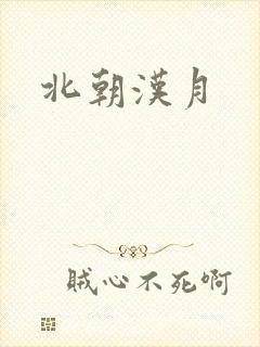 北朝汉月