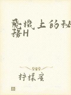 飞机上的秘密服务H