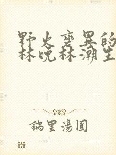 野火变异的父爱林晚林潮生