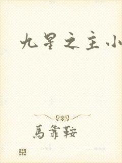 九星之主小说封面