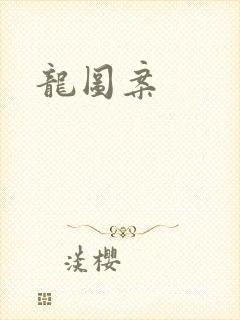 龙图案