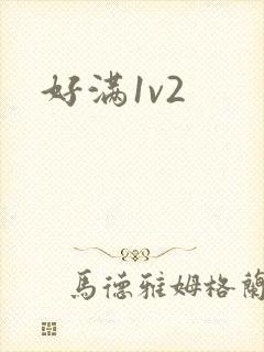 好满1v2