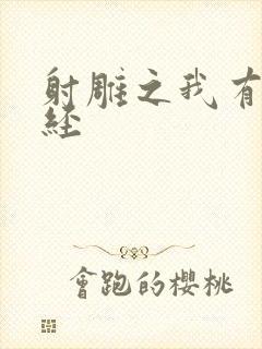 射雕之我有太玄经