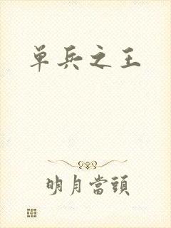 单兵之王