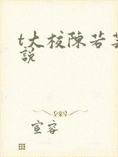 t大校陈若芸小说