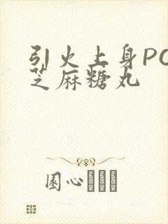 引火上身POP芝麻糖丸