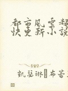 都市风云超前超快更新小说