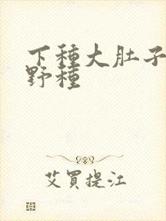 下种大肚子怀孕野种