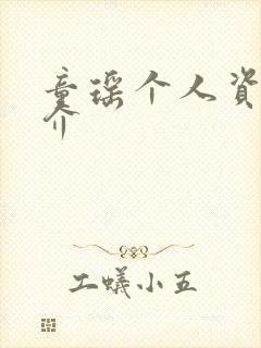 童瑶个人资料简介