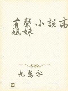 有声小说高树三姐妹封面