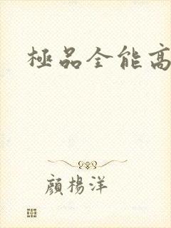 极品全能高手封面