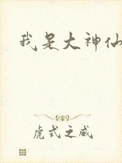 我是大神仙小说封面