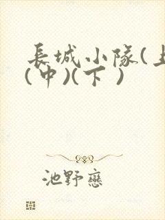 长城小队(上)(中)(下 )封面