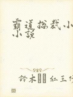 霸道总裁小娇妻小说