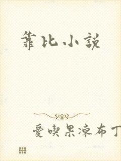 靠比小说