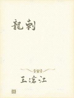 龙刺封面