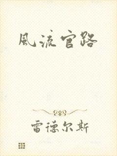 风流官路
