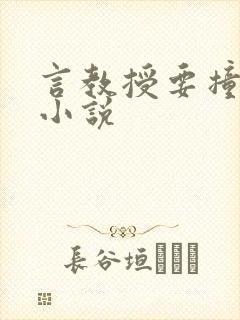 言教授要撞坏了小说