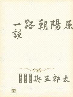 一路朝阳原著小说