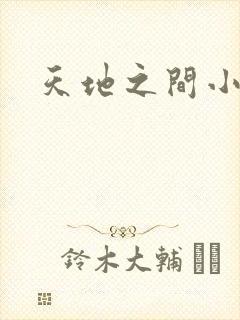 天地之间小说
