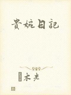 贵婉日记封面