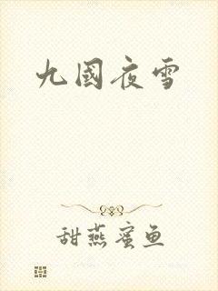九国夜雪