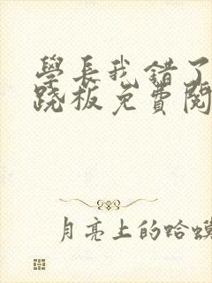 学长我错了 跷跷板免费阅读