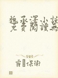 魏承泽小说全文免费阅读无弹窗笔趣