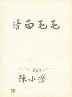 清白毛毛
